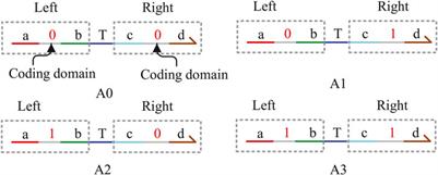 Molecular circuit for exponentiation based on the domain coding strategy